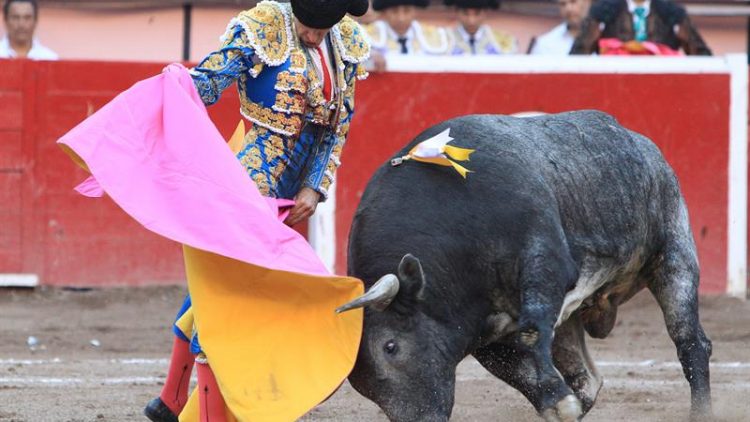El mejor torero español: Jose Tomas
